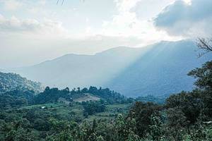 BIB: 
                            <button type="button" onclick="openModal(25651855)" class="btn btn-primary btn-sm float-right btn-popup" data-toggle="modal" data-target=".modal-high-quality">
                        <i class="fas fa-shopping-cart"></i> Add to Cart
                    </button>
                                            <button type="button" onclick="isThisMe(25651855, true)" class="btn btn-success btn-sm float-right btn-popup btn-isme hidden" data-toggle="tooltip" data-placement="bottom" title="นี่คือรูปของคุณใช่ไหม คลิกที่นี่เพื่อเอาเข้าอัลบั้ม">
                        <i class="fas fa-plus"></i> Add to album
                    </button>
                    <button type="button" onclick="isThisMe(25651855, false)" class="btn btn-warning btn-sm float-right btn-popup btn-isnotme hidden">
                        <i class="fas fa-ban"></i> Remove from album
                    </button>